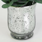 Faux Eucalyptus In Silver Pot