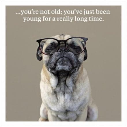 Your not old Happy Birthday Card
