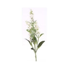 Lavender Spray - Cream