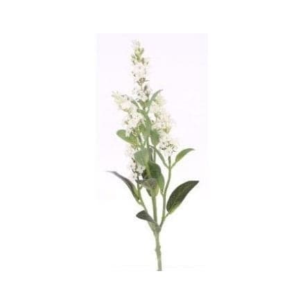 Lavender Spray - Cream