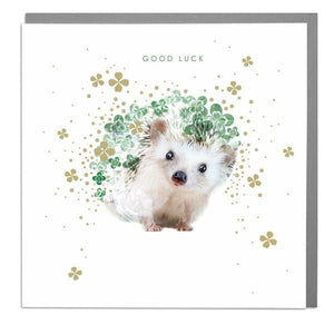 Good Luck Floral Hedgehog Card .