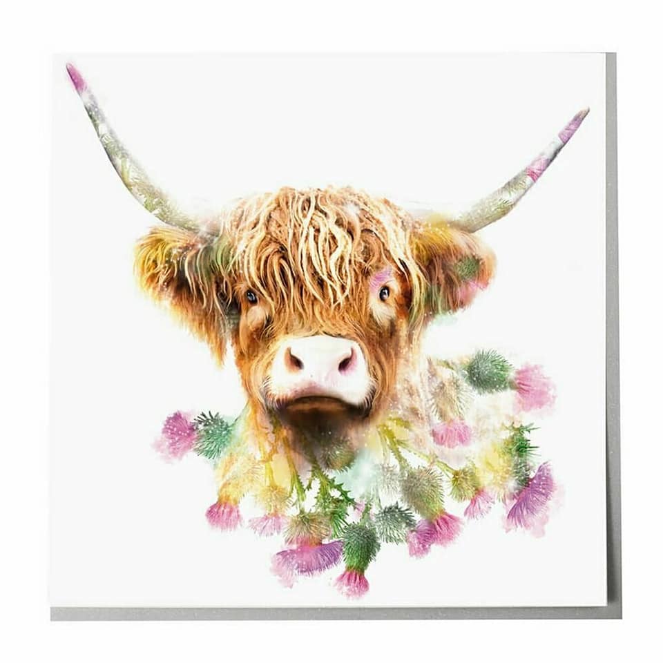 Thistle / Floral Highland Cow Card