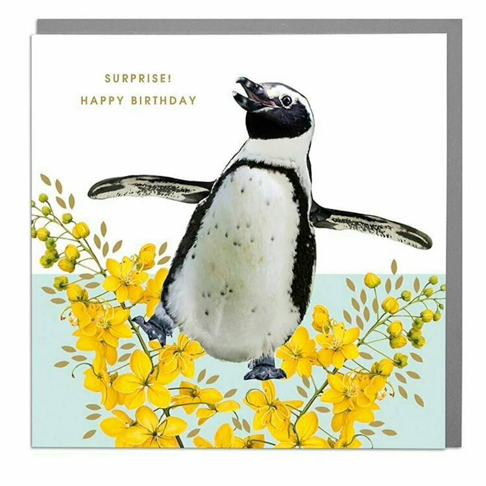 Surprise Happy Birthday Floral Penguin Card .