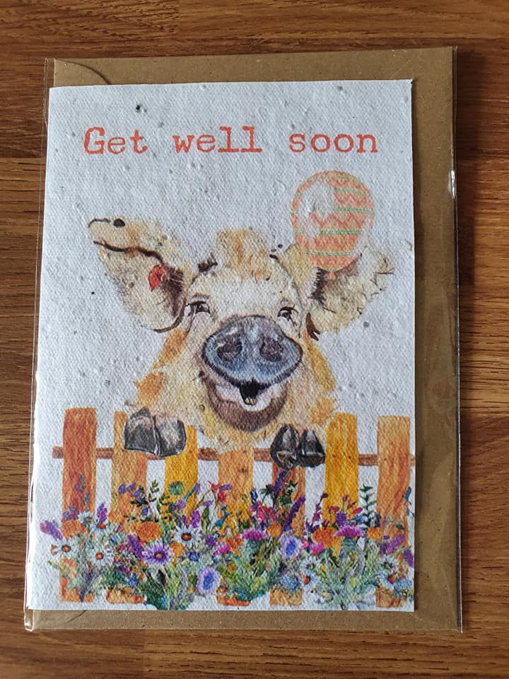 Get Well Soon - Pig - Plantable Seed Card