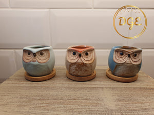 Owl Plant Pots