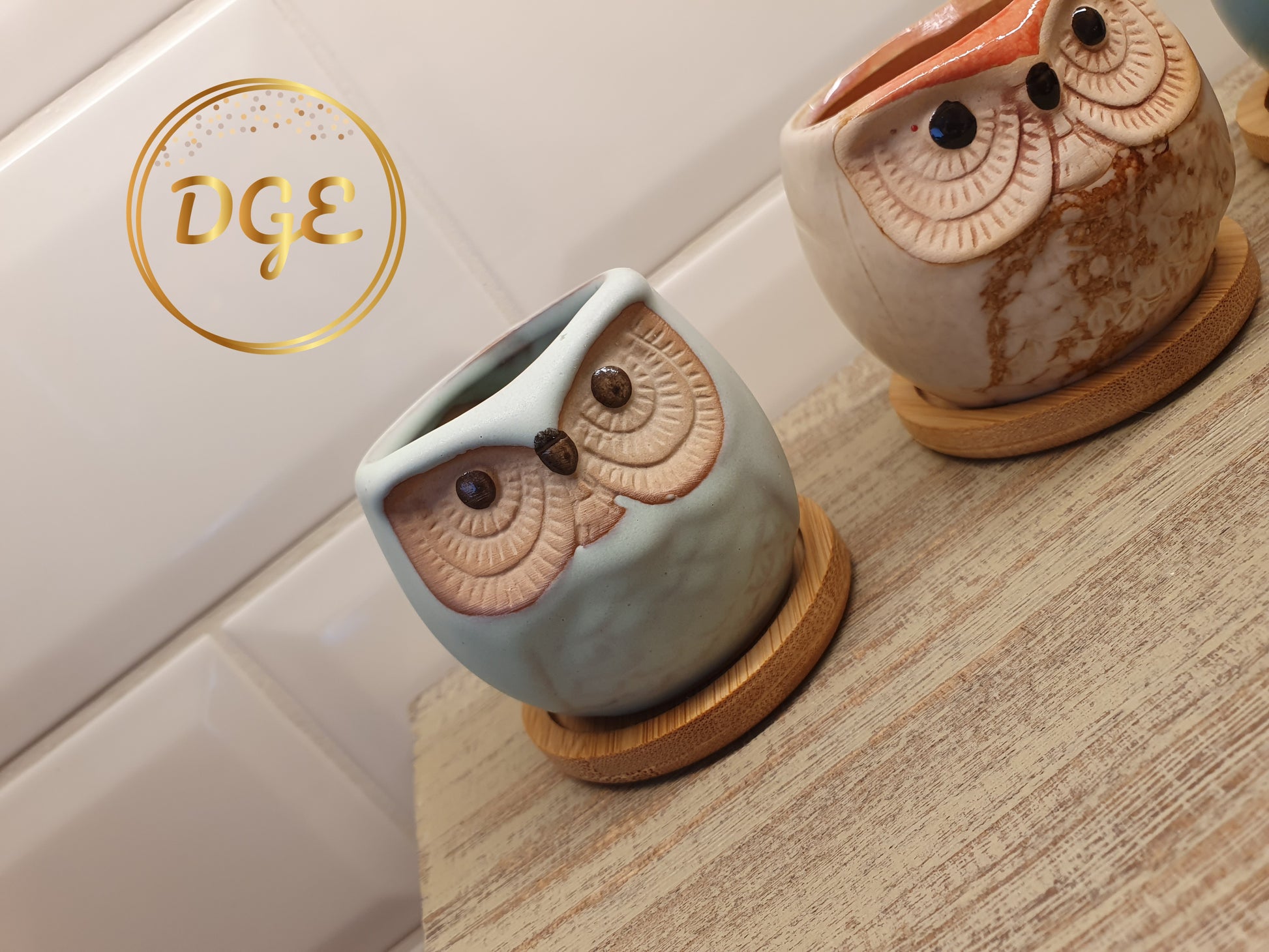 Owl Plant Pots