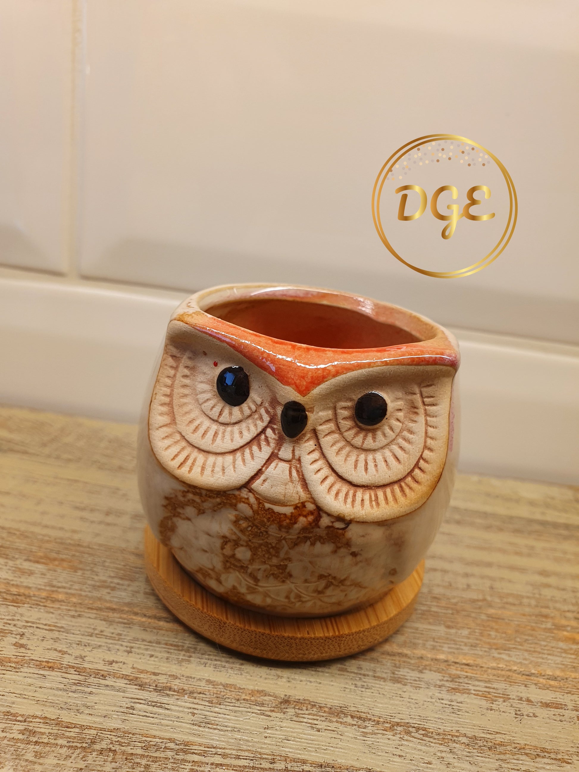 Owl Plant Pots