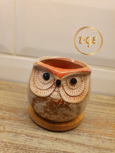 Load image into Gallery viewer, Owl Plant Pots
