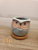 Owl Plant Pots