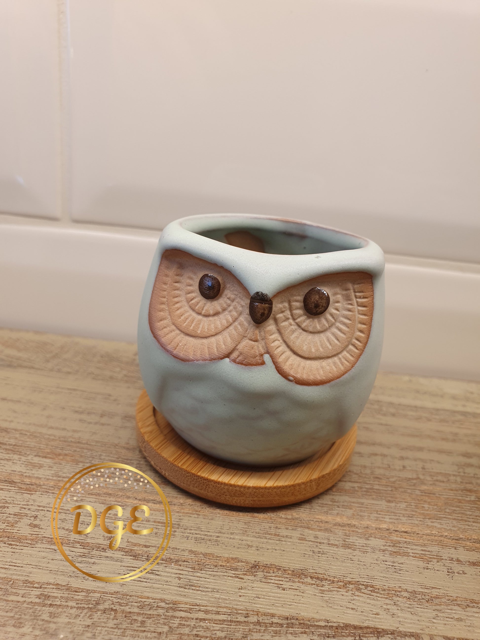 Owl Plant Pots