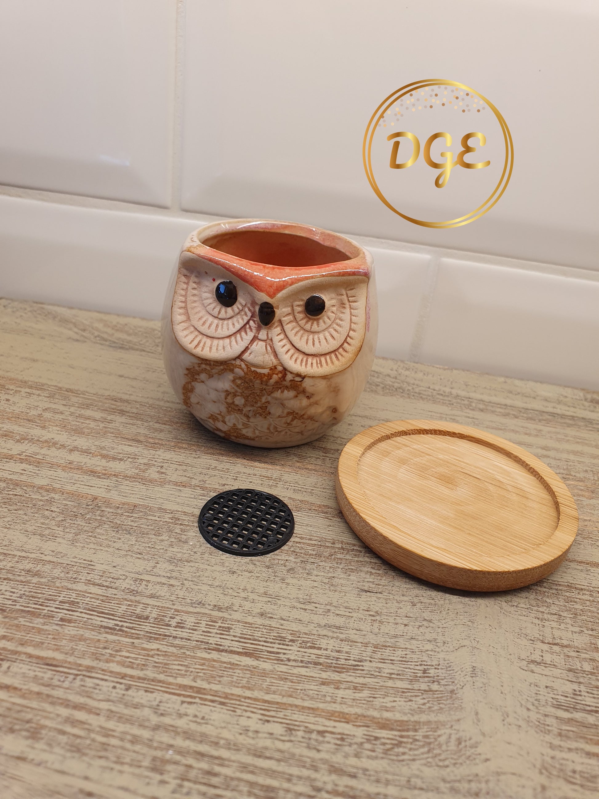 Owl Plant Pots