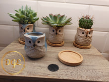 Load image into Gallery viewer, Owl Plant Pots
