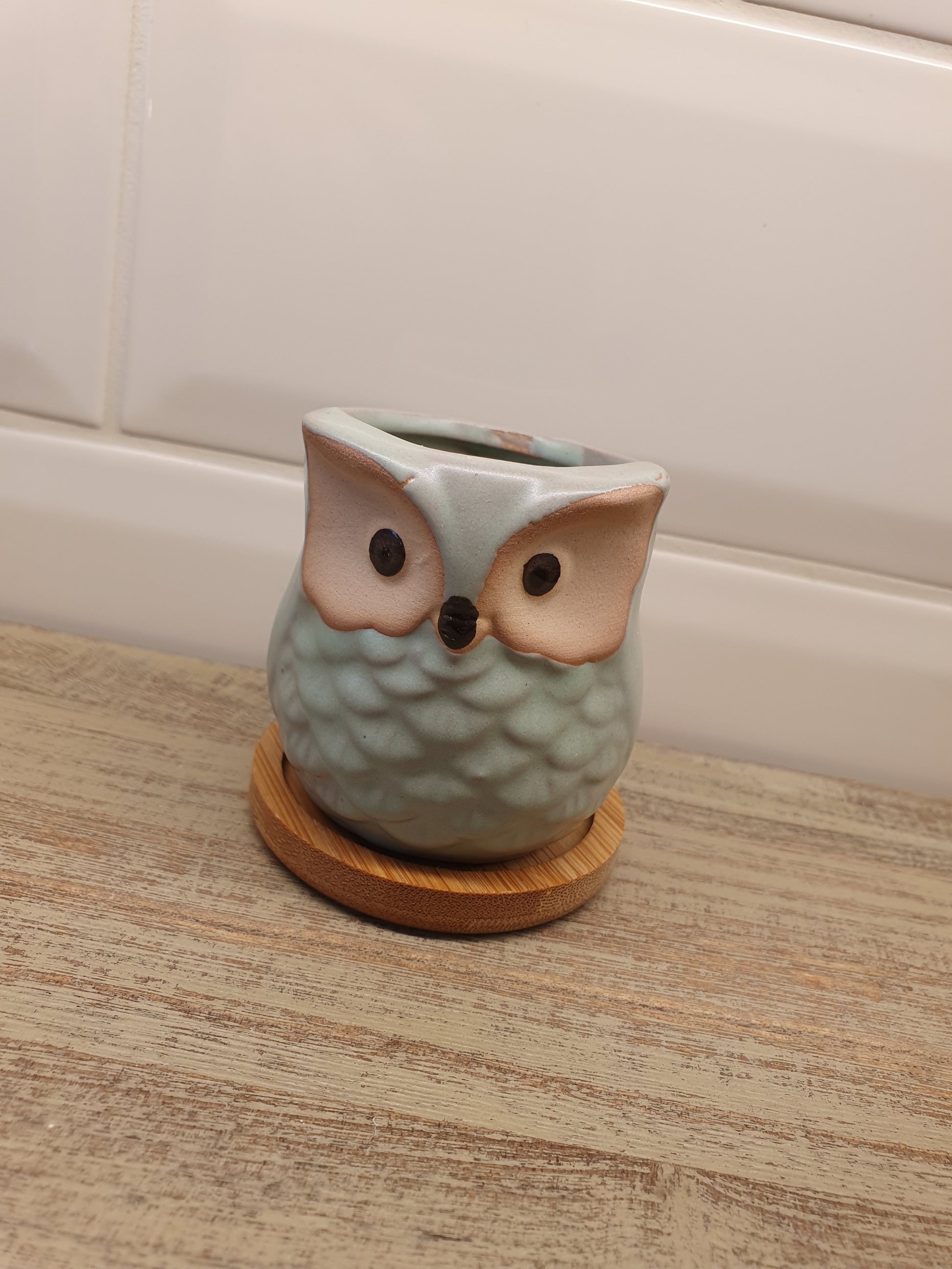 Owl Plant Pots
