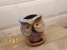 Load image into Gallery viewer, Large Owl Plant Pots - 9cm
