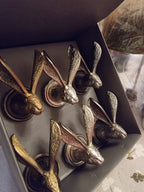Hare Door Knobs - Gold, Silver & Grey