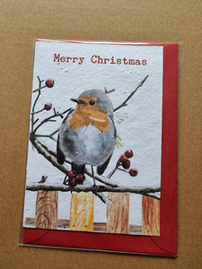 Christmas Robin - Plantable Seed Card .