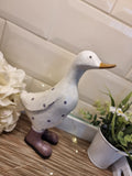 Garden Duck - Polka Dot Lilac - Medium