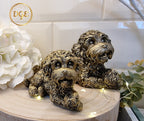 Bronze Cockapoo Lying - Small