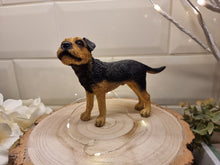 Load image into Gallery viewer, Border Terrier Dog
