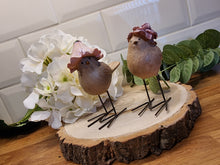 Load image into Gallery viewer, Polly &amp; Poppy Woodland Birds
