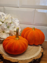 Load image into Gallery viewer, Flocked Ceramic Pumpkins
