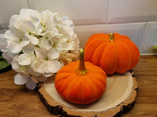 Load image into Gallery viewer, Flocked Ceramic Pumpkins
