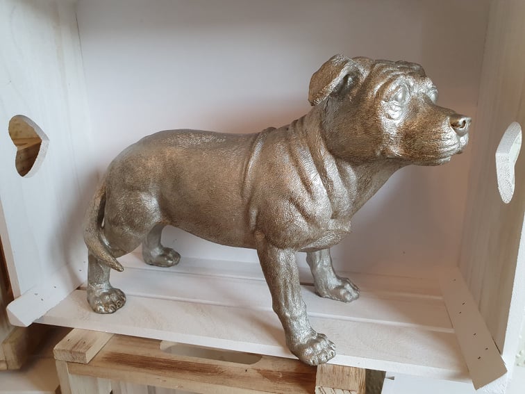 Silver Dog