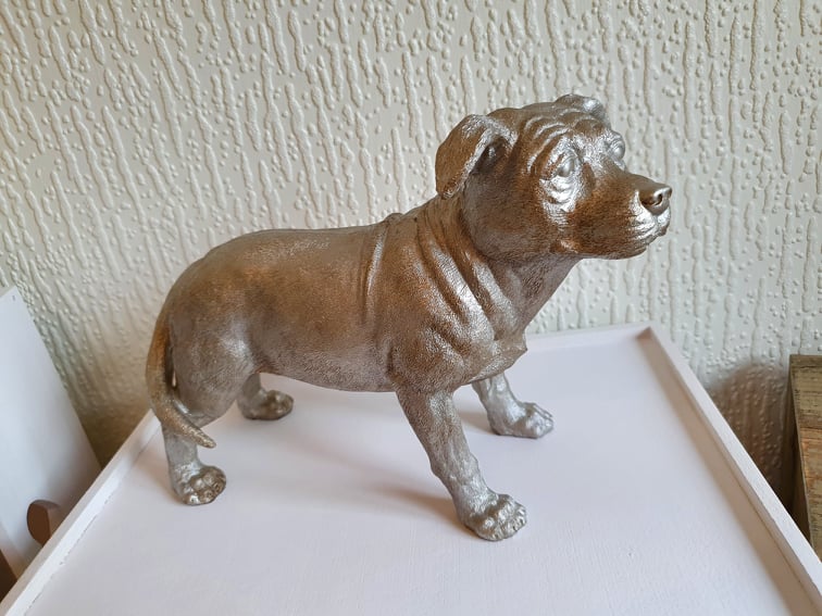 Silver Dog