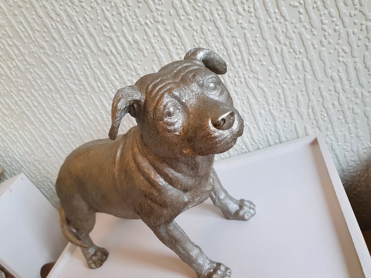 Silver Dog