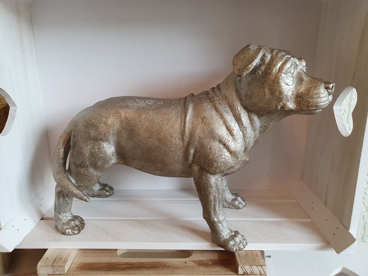 Silver Dog