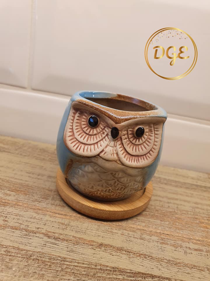 Owl Plant Pots