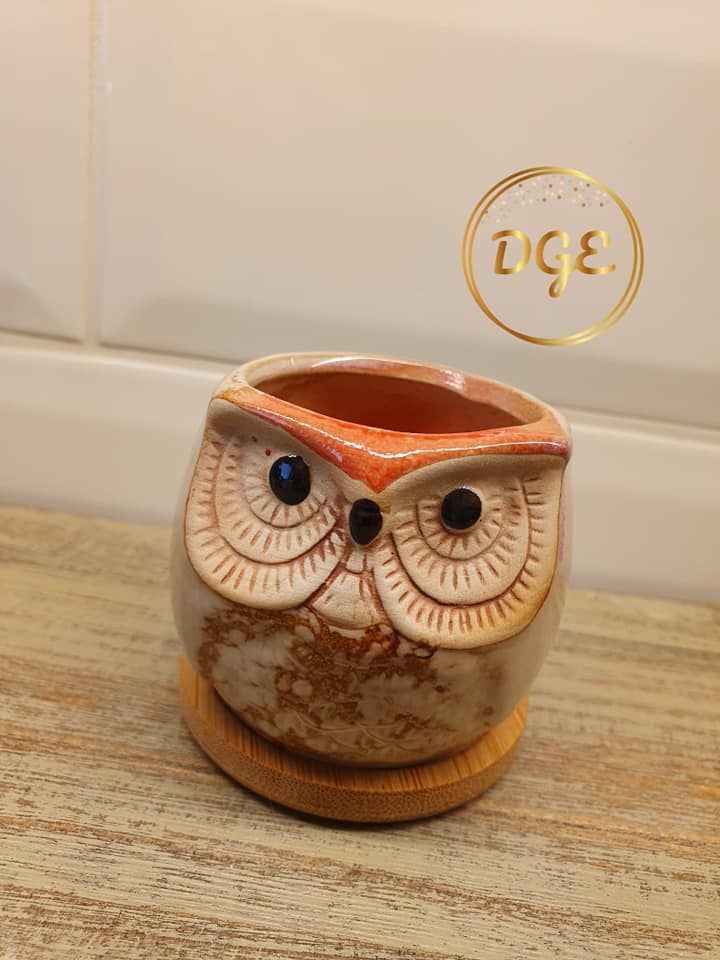 Owl Plant Pots
