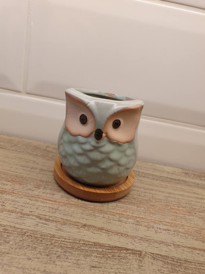 Owl Plant Pots