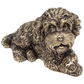 Bronze Cockapoo Lying - Small
