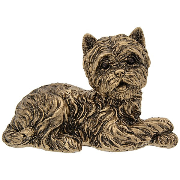 Bronze Westie Lying