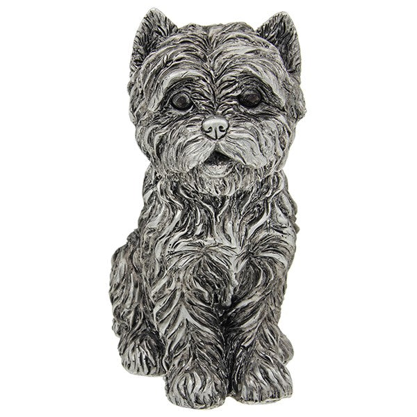 Silver Westie Sitting