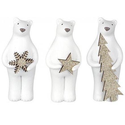Polar Bears