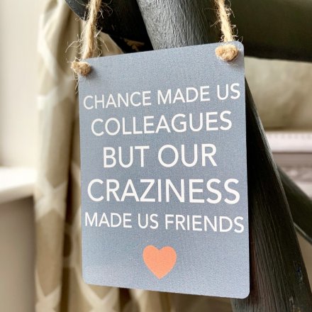 Craziness Made Us Friends - Mini Metal Sign