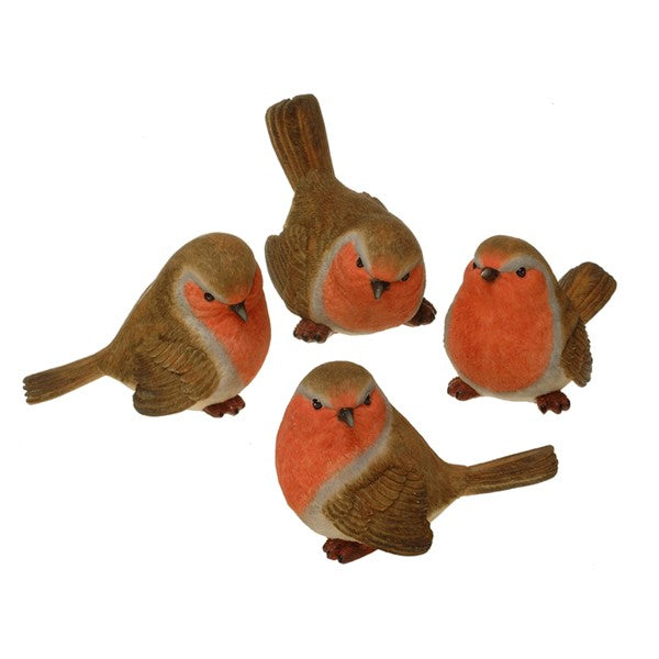 Robins