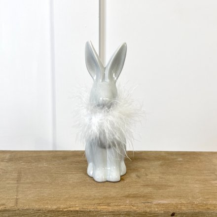 Grey Rabbit With Feathered Collar