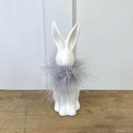 White Rabbit With Feathered Collar