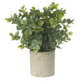 Faux Eucalyptus Potted Plant