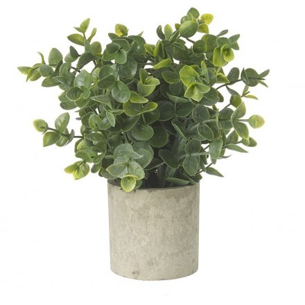 Faux Eucalyptus Potted Plant