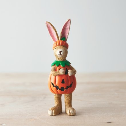 Pumpkin Bunny Standing