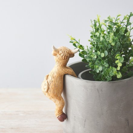 Highland Cow Plant Pot Hanger