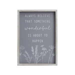 Always believe that something wonderful is about to happen frame