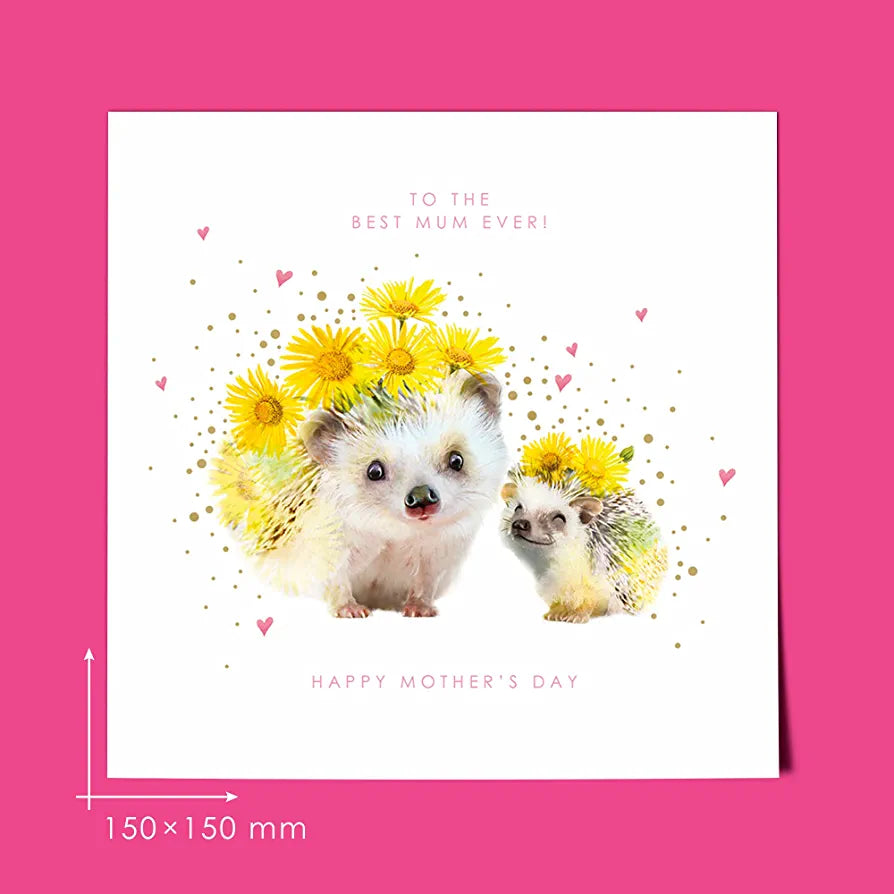 Best Mum Ever Hedgehogs Mother's Day Card