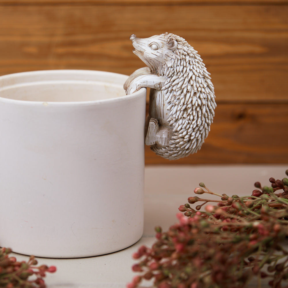 Hedgehog Plant Pot Hugger