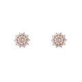 LIZA STUD EARRINGS - Gold & Clear
