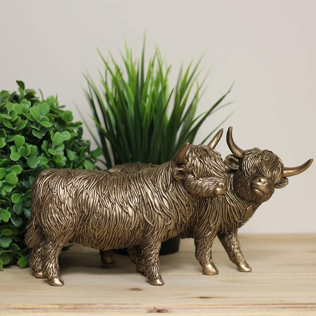 Bronzed Highland Cows - Twins / Brothers